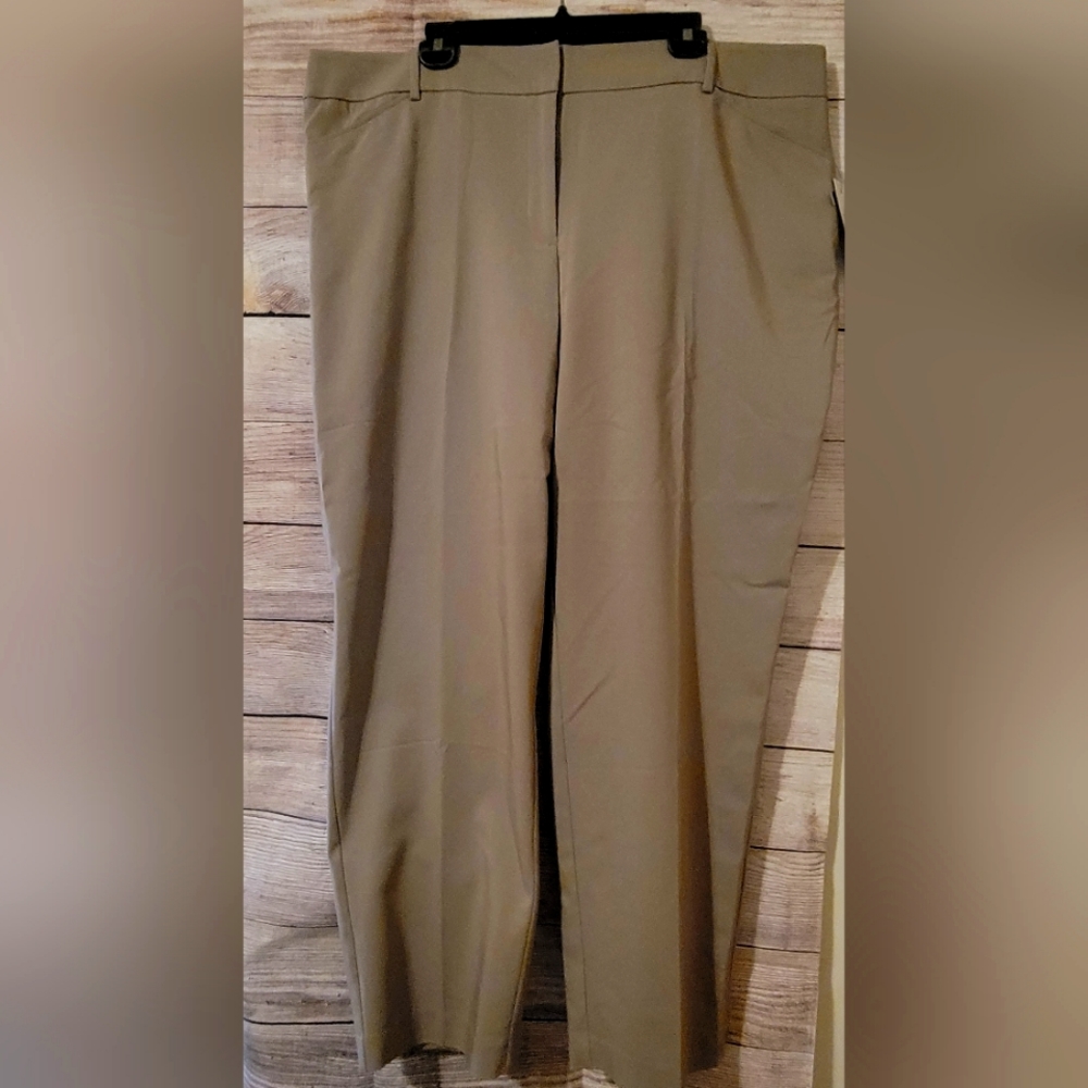 Apt 9 pants